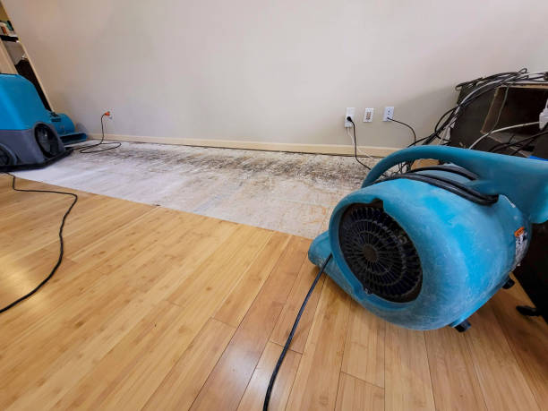 Professional Water Damage Repair technician working in Jonesville, NC